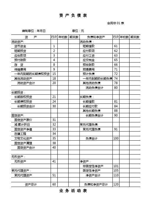 民办非企业单位财务报表