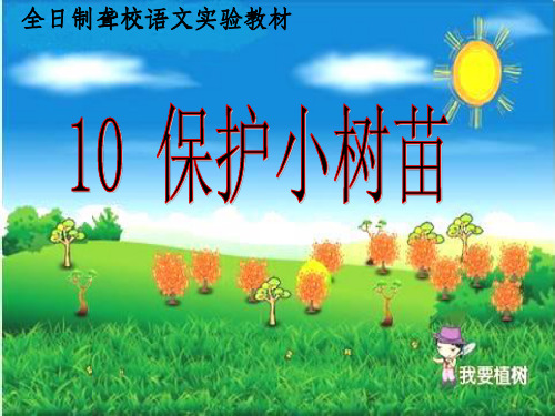 保护小树苗完整ppt课件