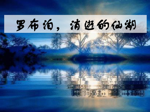 罗布泊消逝的仙湖PPT课件