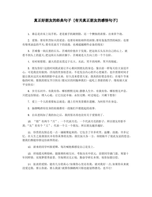 真正好朋友的经典句子 [有关真正朋友的感悟句子]