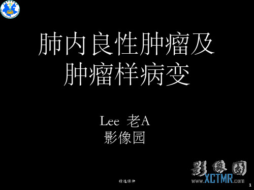 肺部良性肿瘤及肿瘤样病变ppt课件