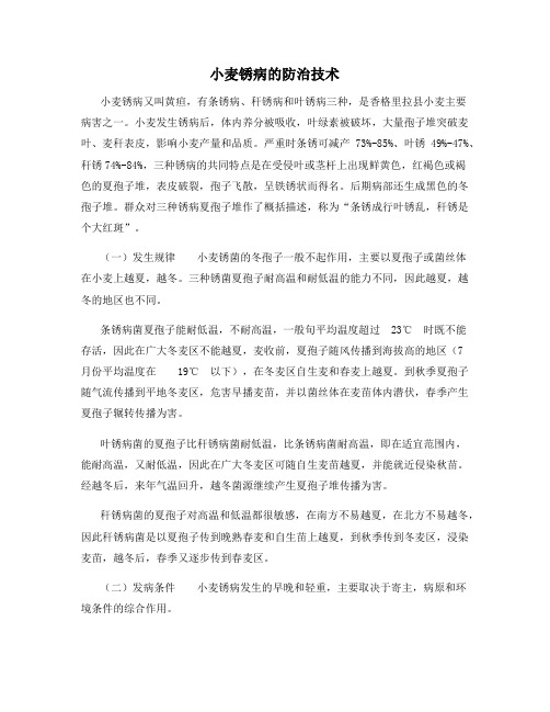 小麦锈病的防治技术