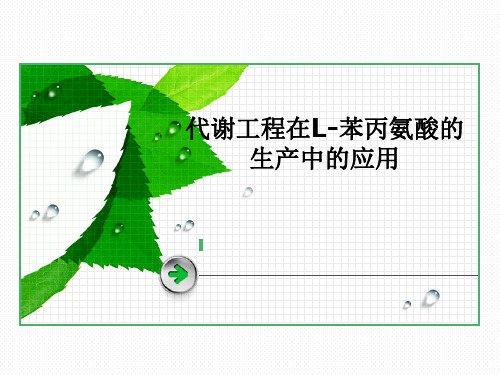 L-苯丙氨酸的生产