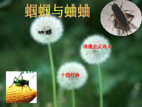 浪漫主义诗人-PPT文档资料
