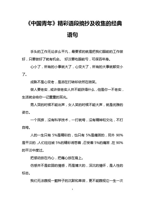 《中国青年》精彩语段摘抄及收集的经典语句