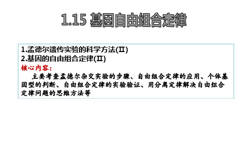 一轮复习——自由组合定律