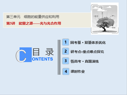 2019版一轮优化探究生物(人教版)课件：第三单元 第3讲 能量之源——光与光合作用 