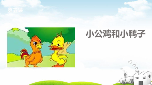 《小公鸡和小鸭子》标准课件PPT3