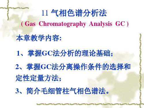 11 气相色谱分析法(110)