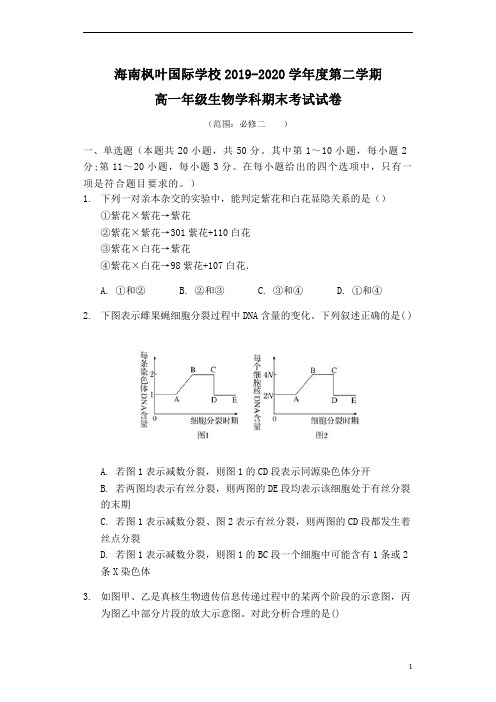 海南省海南枫叶国际学校2019-2020学年高一下学期期末考试生物试题含答案