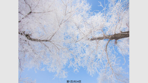 雾凇PPT课件
