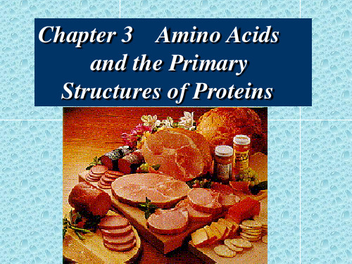 生物化学英文课件Biochemistry-chapter 3