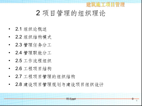 项目管理的组织理论