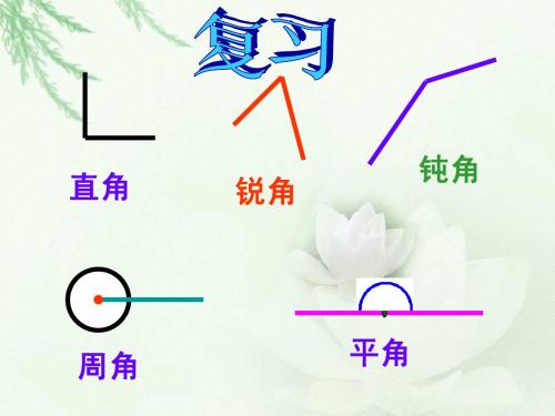 北师大数学四年级《画角》