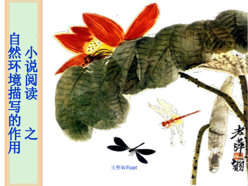 高三复习小说环境描写的作用ppt精选课件