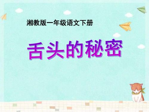 《舌头的秘密》PPT课件2