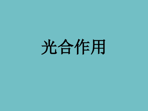 浙教版高中生物必修一：3.5光合作用 课件 (共17张PPT)