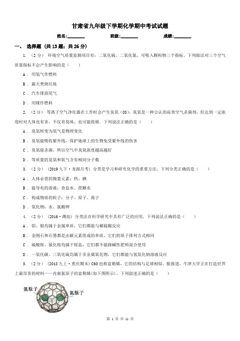 甘肃省九年级下学期化学期中考试试题
