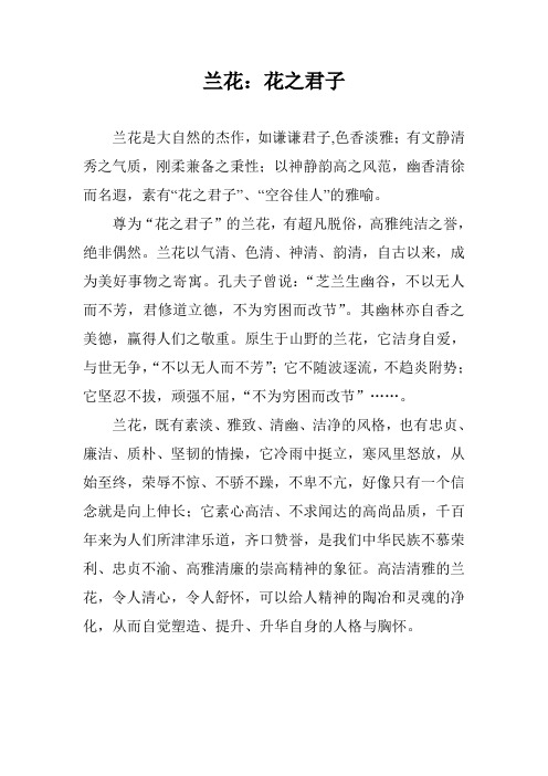 兰花：花之君子