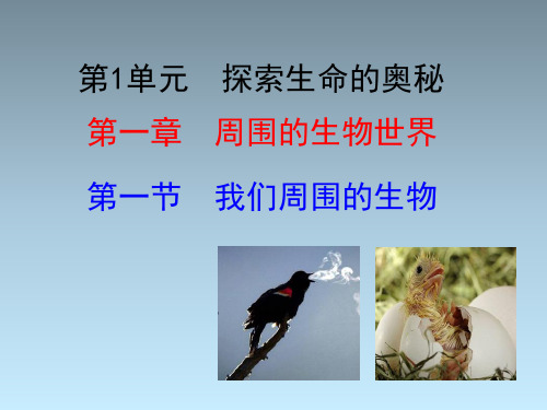 苏教版七年级生物上册1.1.1《我们周围的生物》课件(共34张PPT)