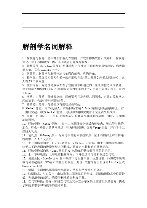 解剖学名词解释