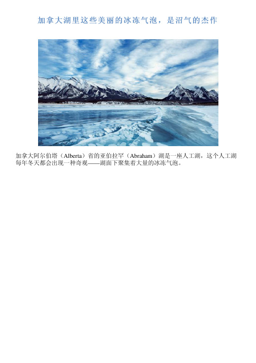 加拿大湖里这些美丽的冰冻气泡,是沼气的杰作