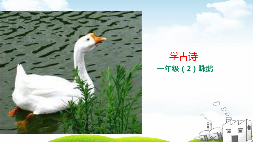 咏鹅ppt(新部编版)(17页)