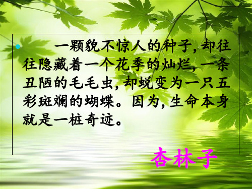 四年级语文《生命  生命》PPT优秀课件