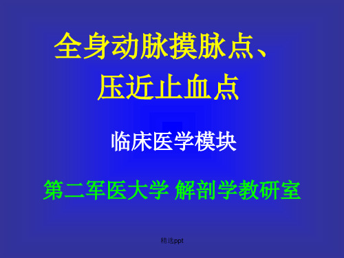 全身动脉摸脉压迫点
