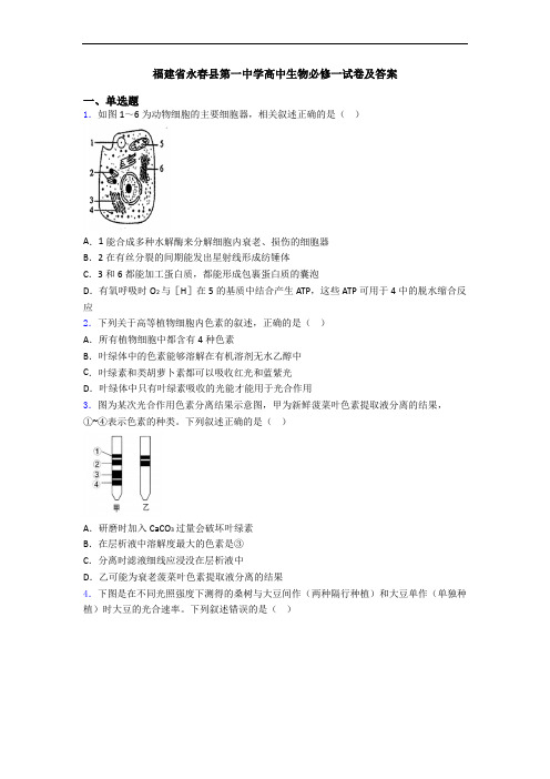 福建省永春县第一中学高中生物必修一试卷及答案