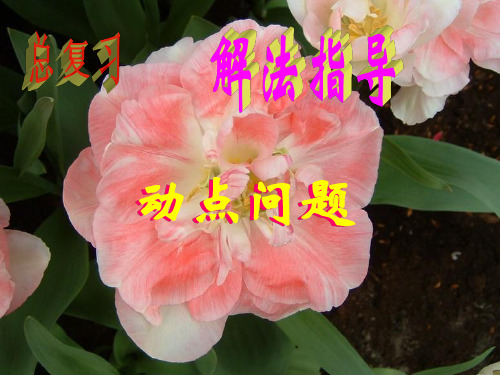 中考数学复习动点问题2[人教版](新编201910)