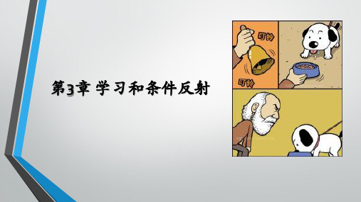 (完整版)改变心理学的40项研究课件第3章学习和条件反射