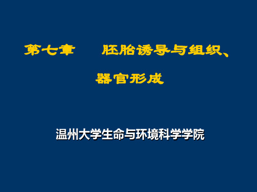 07 第七章 胚胎诱导及组织、器官形成