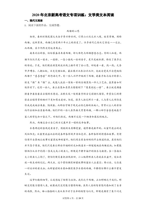 2020年北京新高考语文专项训练：文学类文本阅读