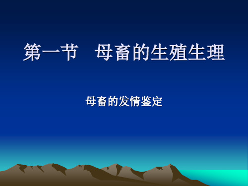 发情表现