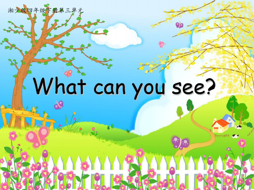 四年级英语下册课件-Unit 3 What can you see（18）-湘少版