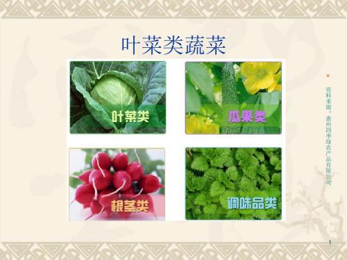 (医学课件)叶菜类蔬菜