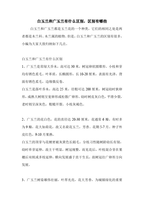 白玉兰和广玉兰有什么区别,区别有哪些.doc