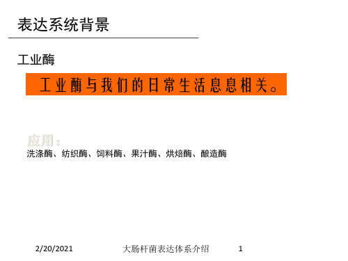 大肠杆菌表达体系介绍课件