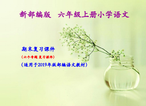 六年级上册语文期末复习课件(按专题分类复习)PPT