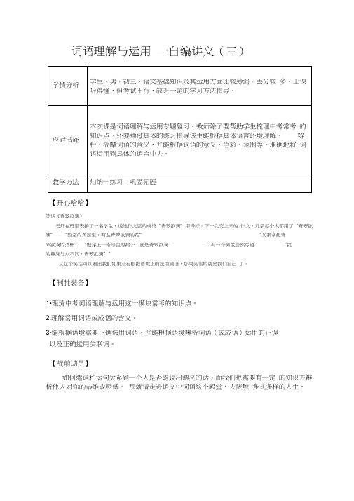 初中语文词语理解与应用讲义
