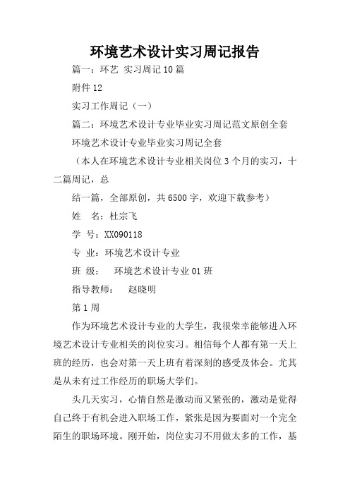 环境艺术设计实习周记报告