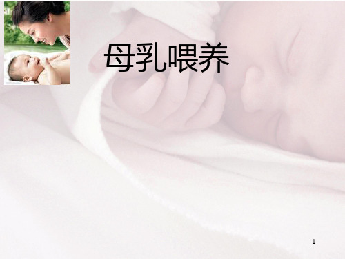 孕妇学校母乳喂养ppt课件