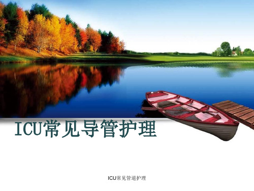 ICU常见管道护理【精品PPT】