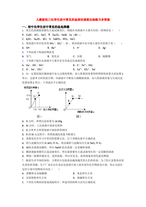 人教版初三化学生活中常见的盐培优课堂达标练习含答案