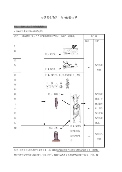 广东省中山市2018生物中考专题四生物的生殖与遗传变异