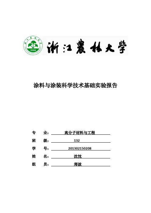 涂料实验报告