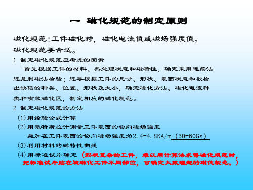 磁化规范