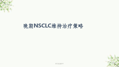 晚期NSCLC维持治疗策略课件