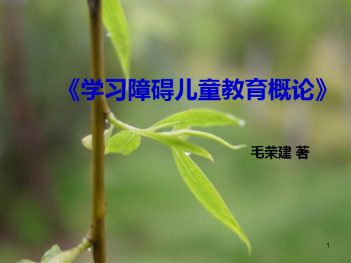 学习障碍儿童教育鉴别与评估PPT课件